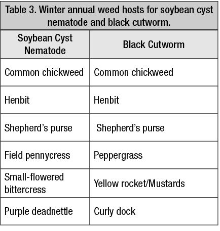 table image